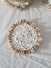 White Seashell Coaster