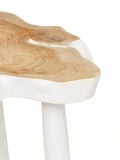 The Organic Side Table